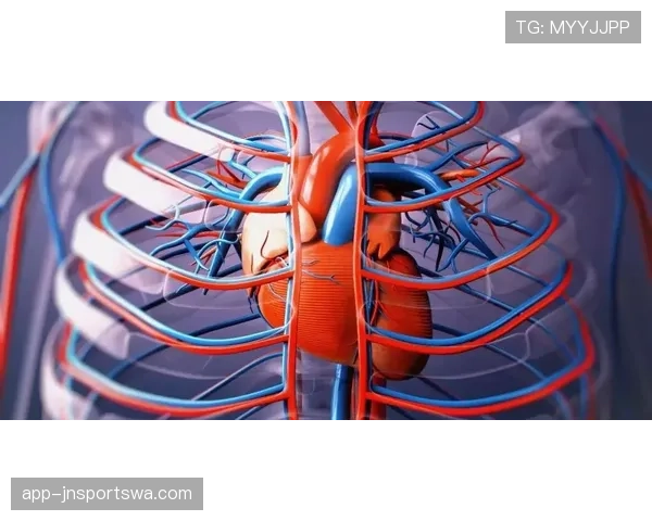 担架入场规则有哪些关键限制？球场安全与急救响应如何平衡解析